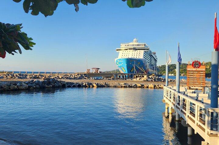 Roatan Zipline Adventure Sloths & Monkey chocolate Sample Tour