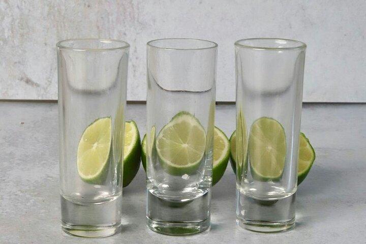 Tequila Master Class & Gourmet Tacos- Exclusive Experience Cancun