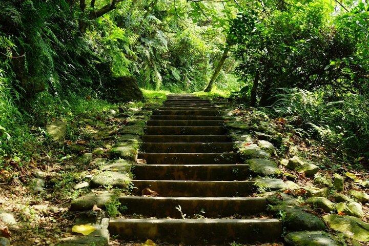 2026 Taroko Gorge Tour Excellent Cultural Stories , 8 Hours