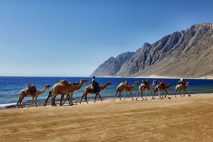 Jeep Adventure to Canyon Salama and Dahab from Sharm El-Sheikh