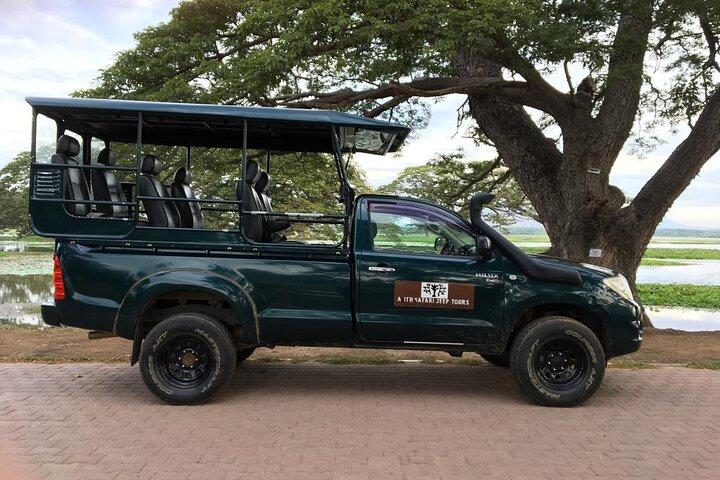 Yala National Park Wildlife Safari/ Game Drive - by Ajith Safari