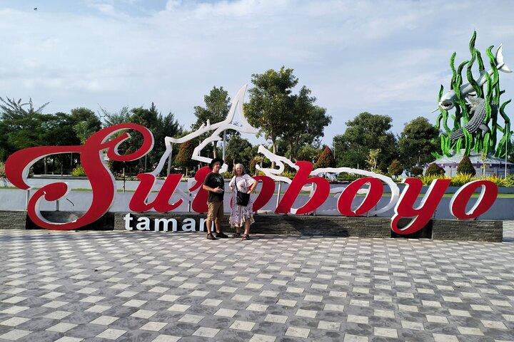 Surabaya Private Car charter with English Driver