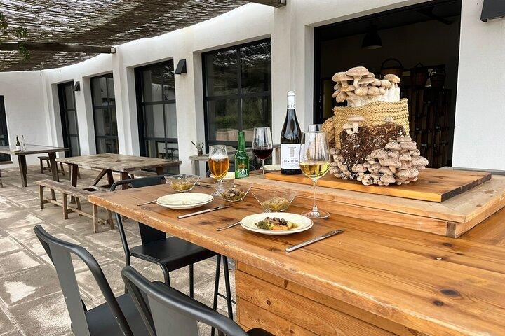 Food experience in mushroom cultivation (tour not included)