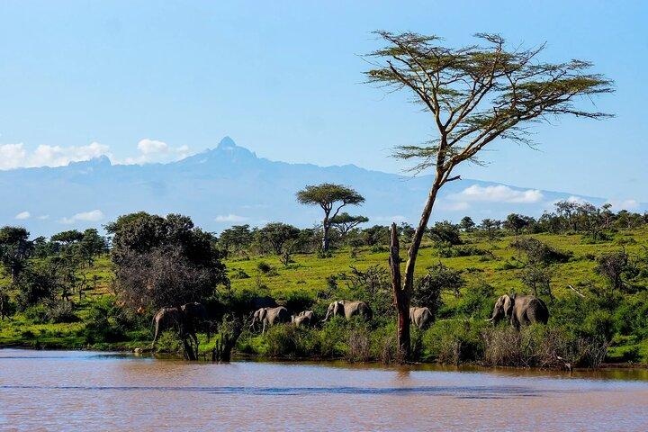 Scenic Day Trip to Aberdares National Park