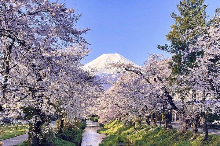 Exclusive Day Tour to Mount Fuji and Oshino Hakkai from Tokyo