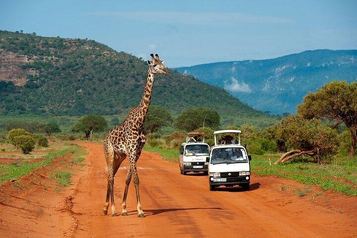 Overnight Maasai Mara Safari Tour from Nairobi