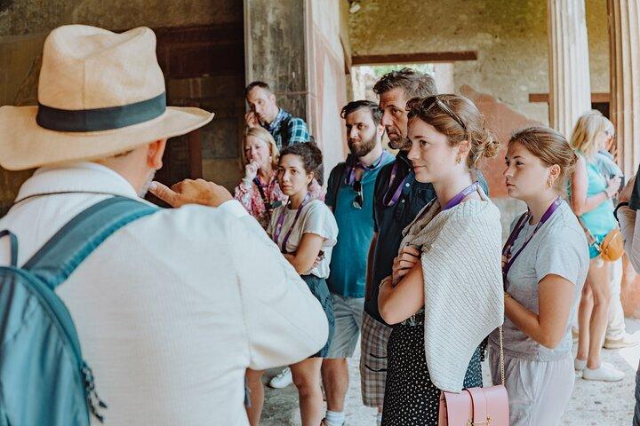 Pompeii and Oplontis: Small Group Tour with an Archaeologist