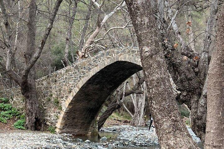 Troodos Mountains Jeep Tour with Wine Tasting