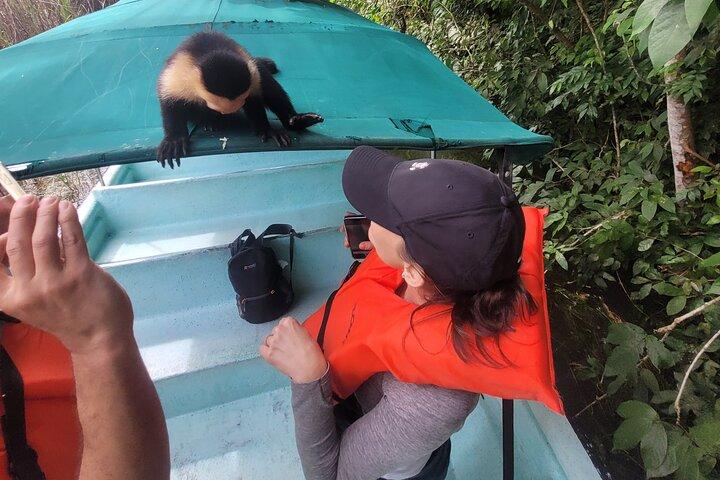 Guided Tour in Sloth Sanctuary and Monkey Island