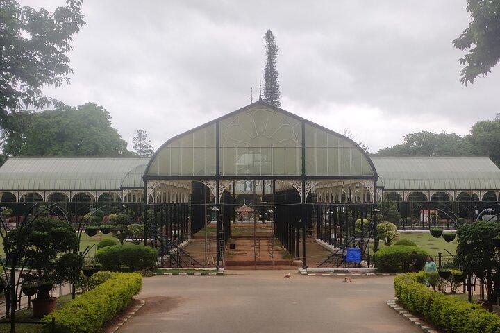 Lalbagh Botanical Garden Early Morning Walk + Breakfast at MTR