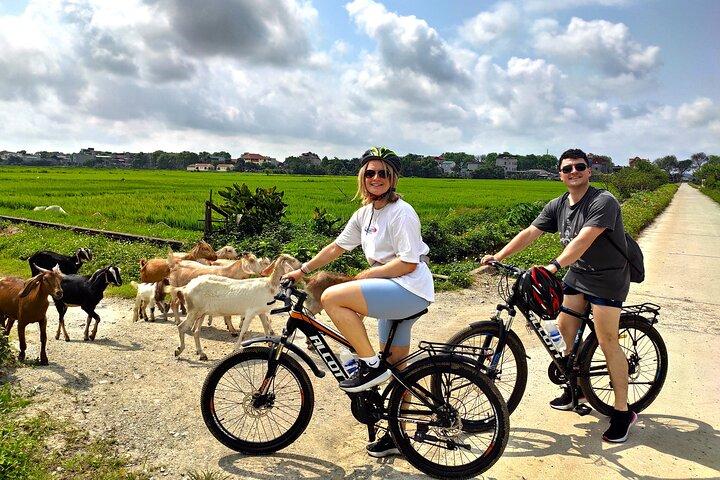 Hanoi: Luxury Trip Hoa Lu Ancient Capital, Tam Coc, Local Family