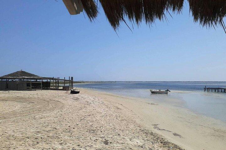 Pirate Cruise to Flamingo Island-Djerba
