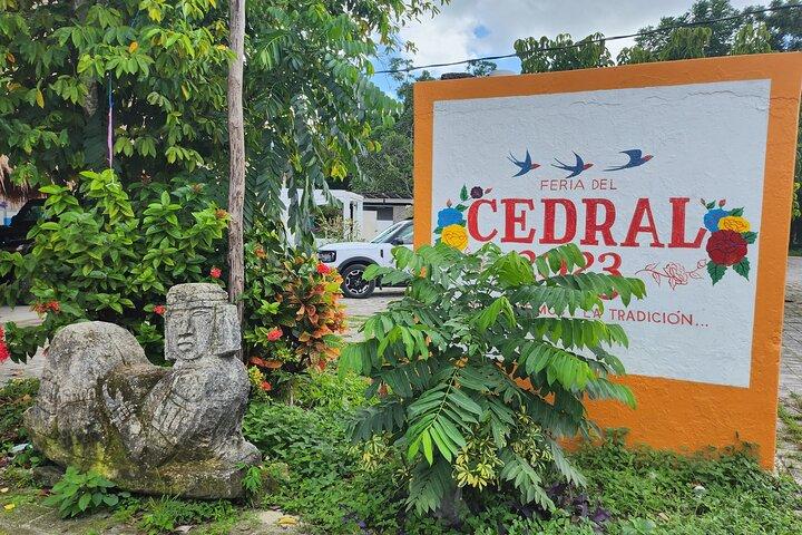 Cozumel Jungle ATV Tour Adventure and Caverns with transfer