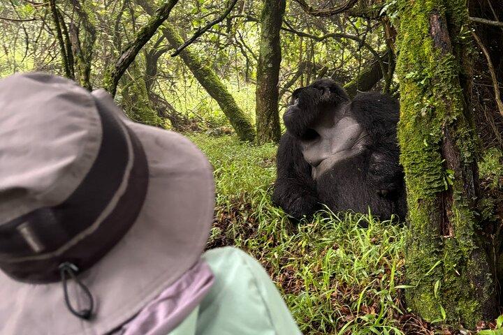 Private Gorilla Trekking Transfer from kigali to Volcanoes N.Park