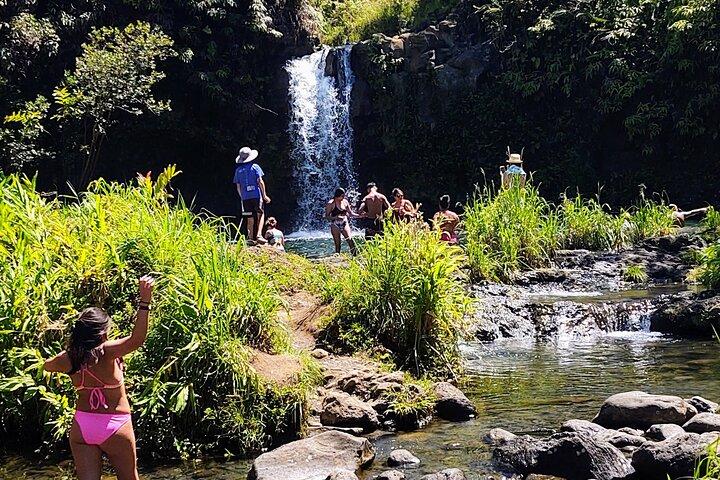 Halfway to Hana Tour of Maui Black Sand Beach Waterfalls Turtles