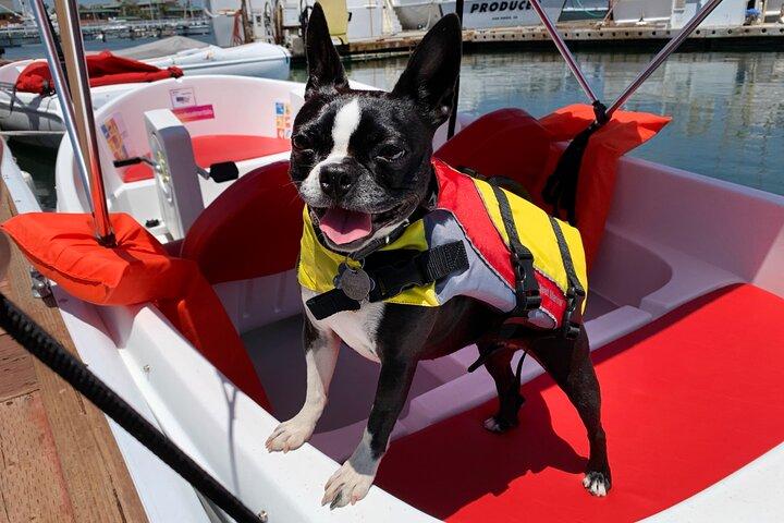 Pedal Boat rental in hidden part of San Diego Bay! Family fun
