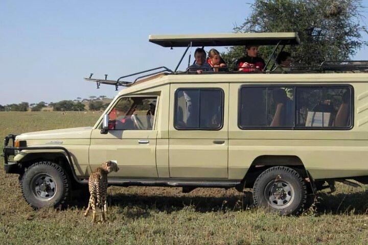 1-Day Special Offer Safari to Ngorongoro Crater.
