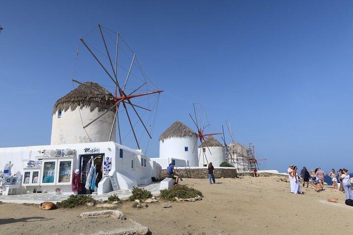 Best of Mykonos Shore Excursion: 4-Hour Island Tour & Town Walk