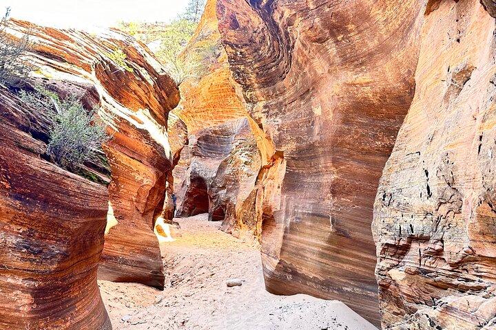 Private Guided Photography & Walking Tour of Zion National Park