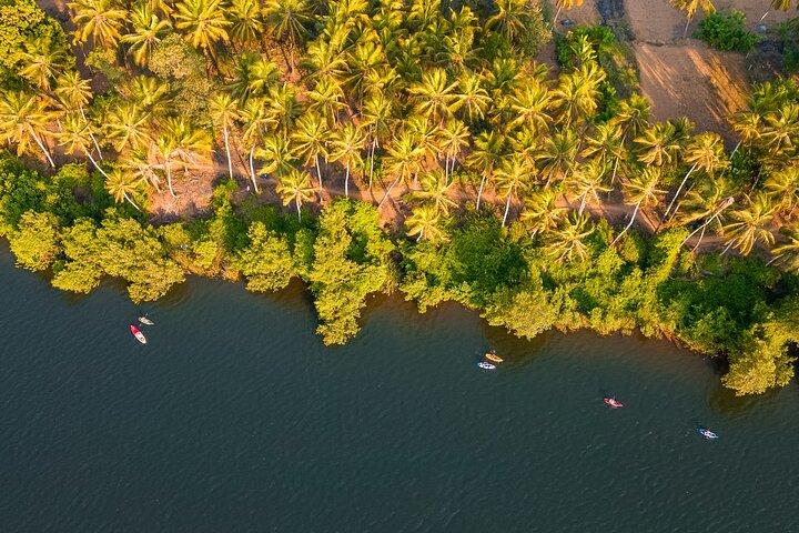 Backwater Kayaking Experience