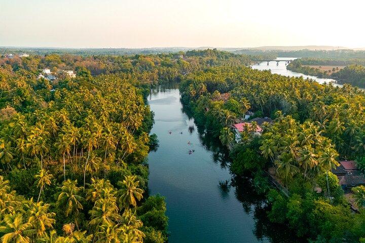 Backwater Kayaking Experience