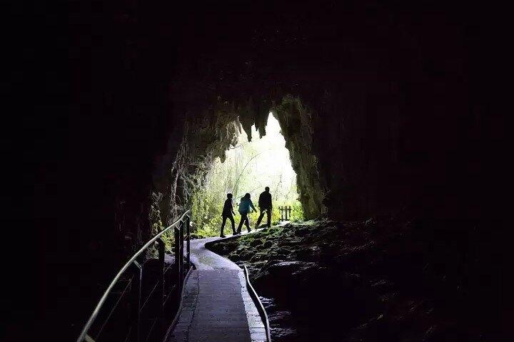 Hamilton : Spellbound Glowworm & Cave Explorer Small Group Tour