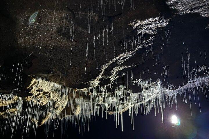 Auckland : Waitomo Spellbound Glow Worm Twin Caves Private Tour