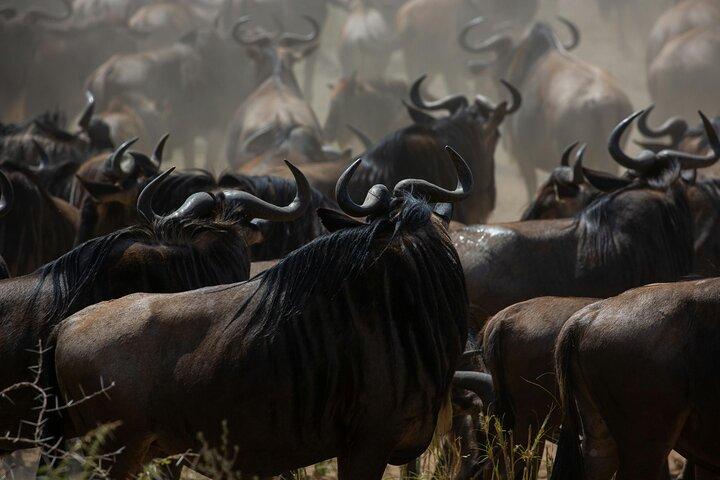 Multi Day Tour Across The Riftvalley in Kenya