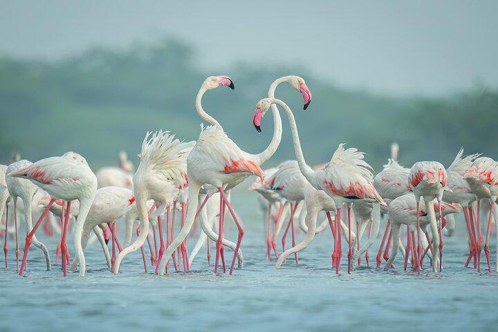 Multi Day Tour Across The Riftvalley in Kenya