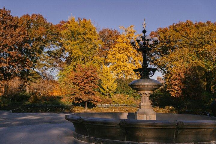 Friends Filming Locations in New York City with Private Guide