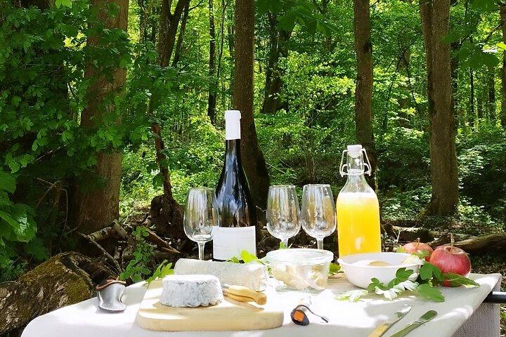 The Royal Escape: E-Bike & Gourmet Picnic at Chenonceau.