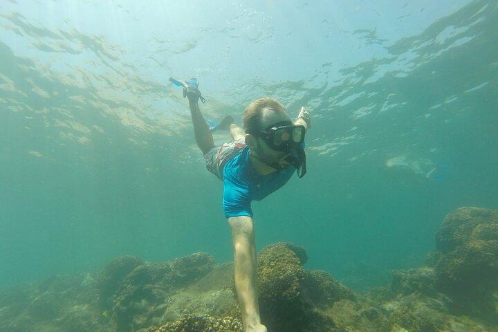 4-Hour Snorkeling Tour in Cabo San Lucas and Corridor