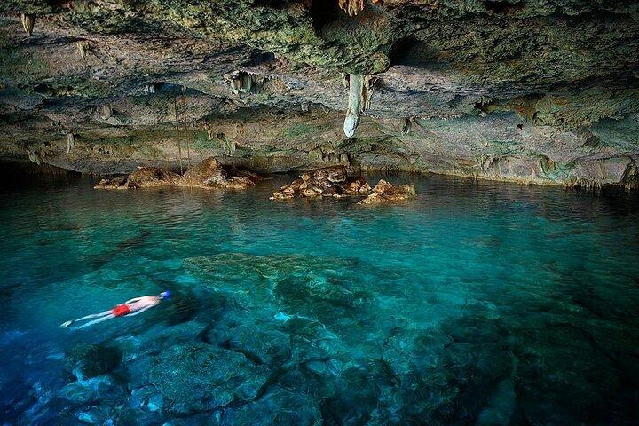 Kona Snorkel Tour: Captain Cook Reef Snorkel, Dolphin & Sea Caves