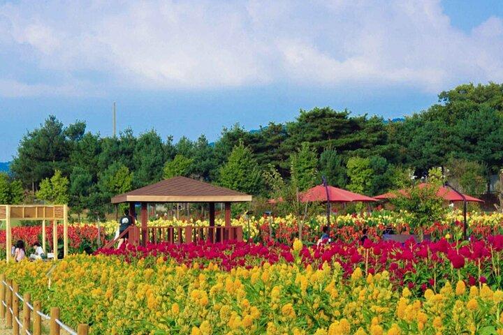 UNESCO Hantan Canyon & Goseokjeong Flower Garden & Pink Nari Park