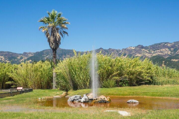 Napa Valley & Sonoma Self-Guided Audio Driving Tour