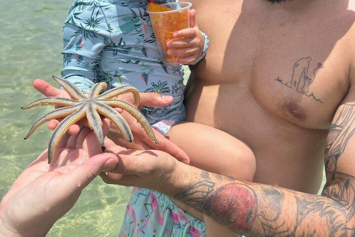 Miami Boat Tour to Raccoon Island and Sandbar (Private 2 or 4 Hr)