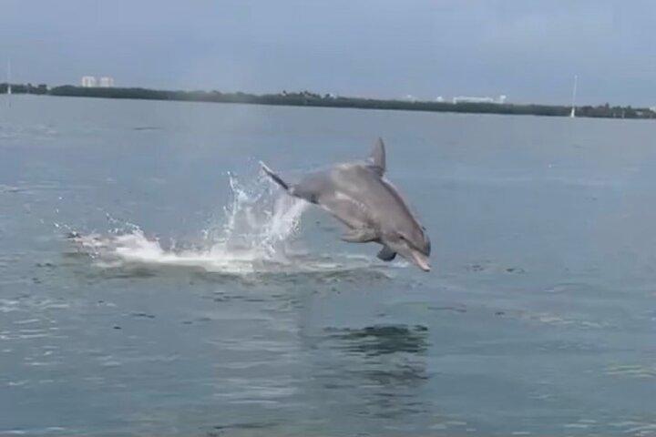 Miami Boat Tour to Raccoon Island and Sandbar (Private 2 or 4 Hr)