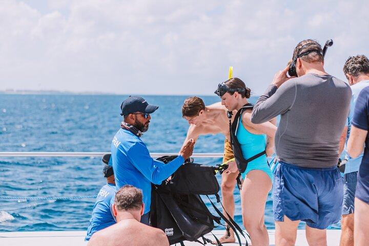 Antilla Shipwreck and Catalina Bay Snorkel Sail