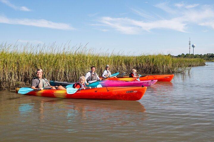Dolphin Kayak Tour on Folly Beach