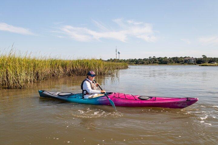 Dolphin Kayak Tour on Folly Beach