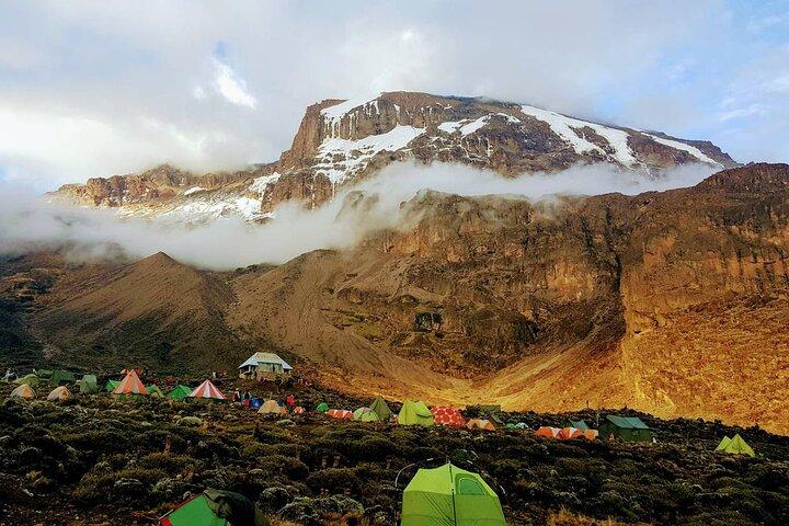 8 Days Kilimanjaro Trekking Adventure Machame Route