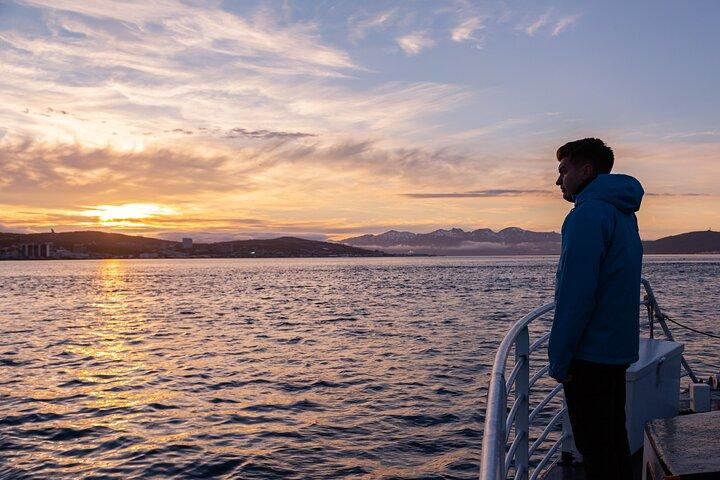Tromsø: Summer Evening Cruise with Activities