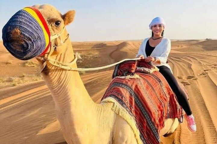 Evening Half Day Abu Dhabi Desert Safari Tour with BBQ Dinner