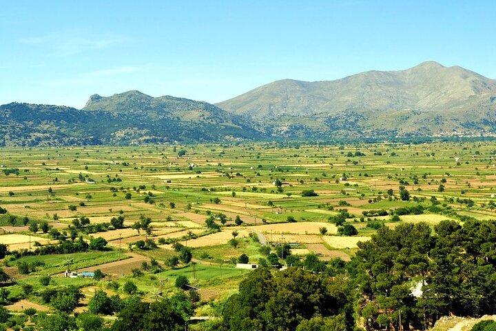 Knossos Palace and/or Zeus Cave + Olive Mill | Local & Private