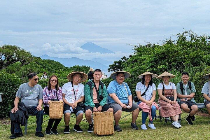 Step-Free Easy going tour from Shimizu Port / Van Taxi