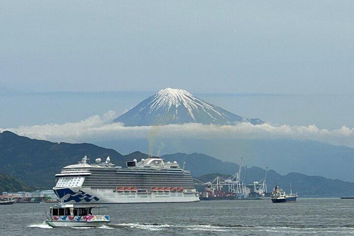 Step-Free Easy going tour from Shimizu Port / Van Taxi