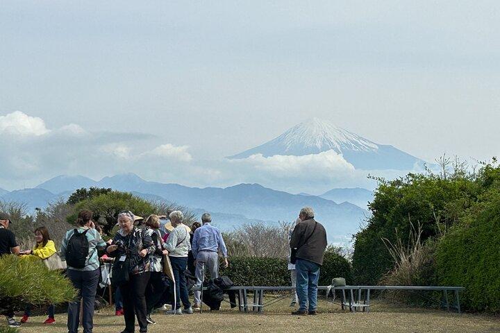 Step-Free Easy going tour from Shimizu Port / Van Taxi