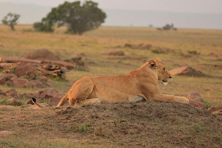 3 Days Serengeti And Ngorongoro Crater Outstanding Luxury Safari