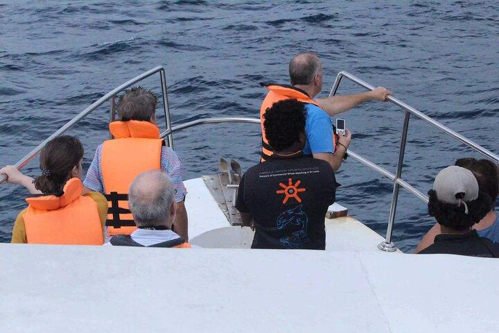 All Inclusive Mirissa Whale and Dolphin Watching Boat Ride