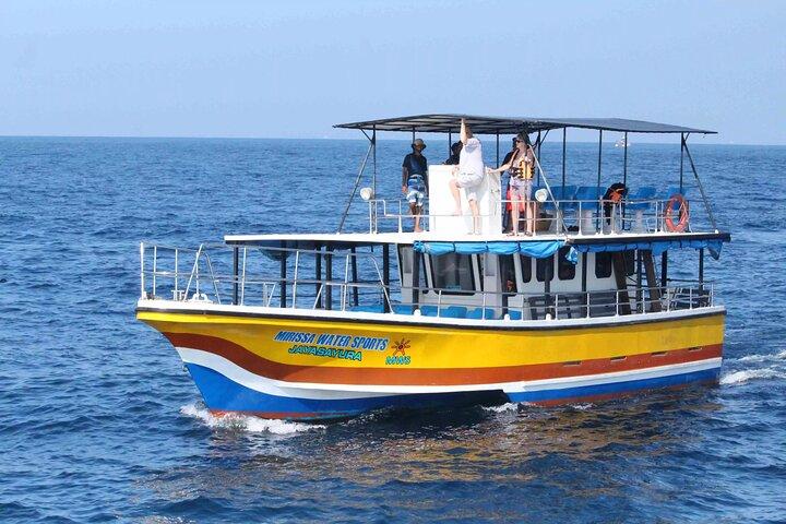 All Inclusive Mirissa Whale and Dolphin Watching Boat Ride